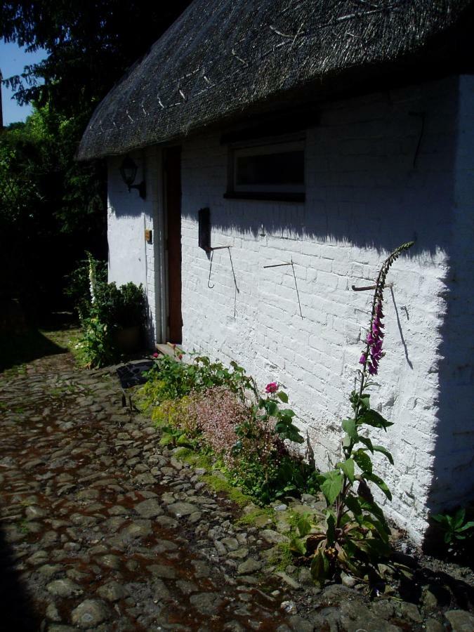 Stable Cottage Devizes Exteriör bild
